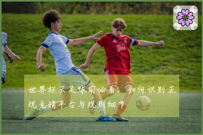 世界杯买足球前必看：如何识别正规竞猜平台与规则细节