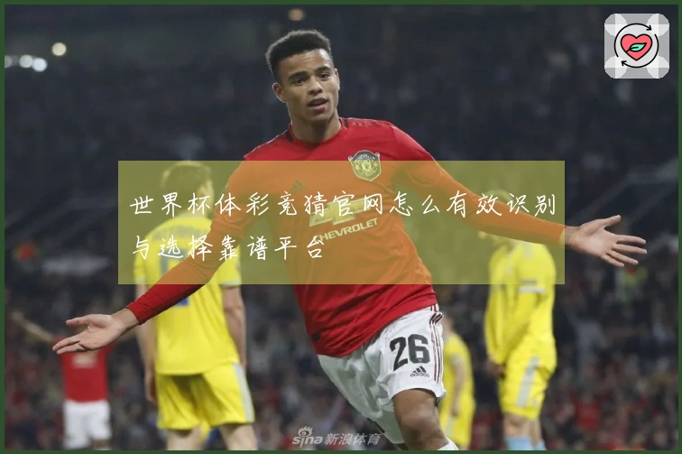 世界杯体彩竞猜官网怎么有效识别与选择靠谱平台