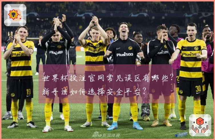 世界杯投注官网常见误区有哪些？新手该如何选择安全平台？