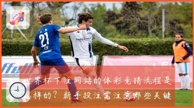 世界杯下注网站的体彩竞猜流程是怎样的？新手投注需注意哪些关键点？