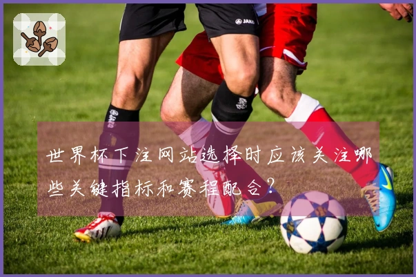 世界杯下注网站选择时应该关注哪些关键指标和赛程配合？