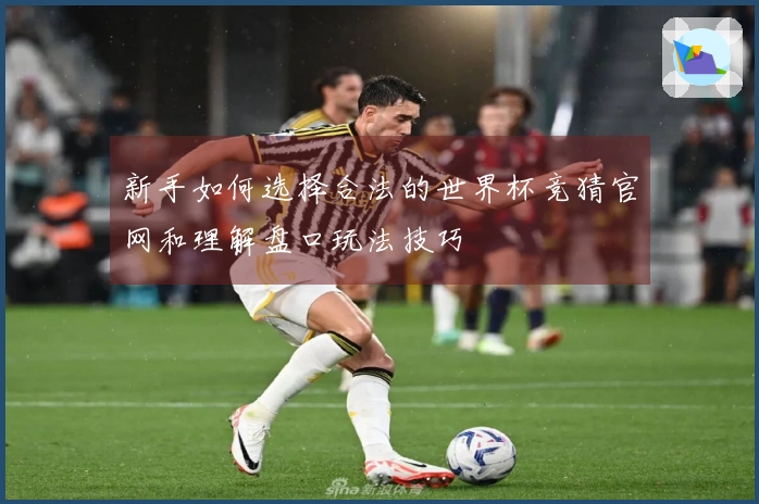 新手如何选择合法的世界杯竞猜官网和理解盘口玩法技巧