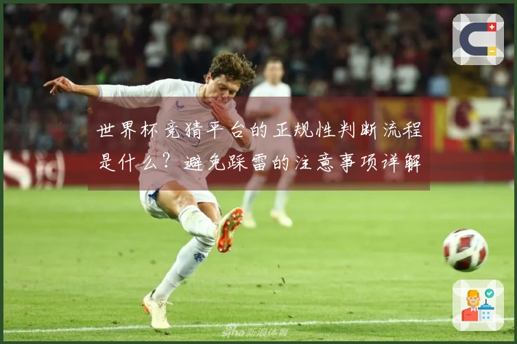 世界杯竞猜平台的正规性判断流程是什么？避免踩雷的注意事项详解
