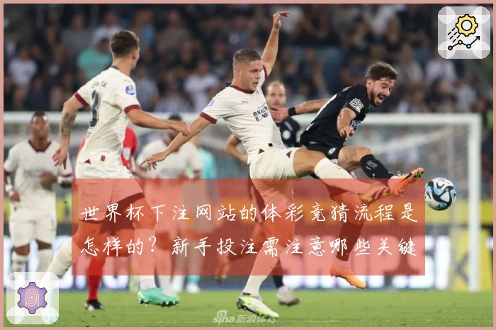 世界杯下注网站的体彩竞猜流程是怎样的？新手投注需注意哪些关键点？