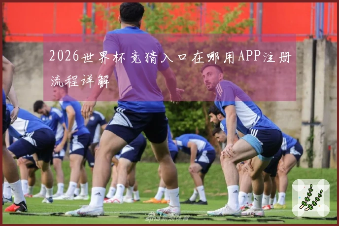2026世界杯竞猜入口在哪用APP注册流程详解