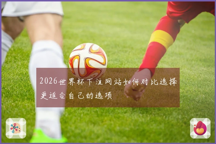 2026世界杯下注网站如何对比选择更适合自己的选项