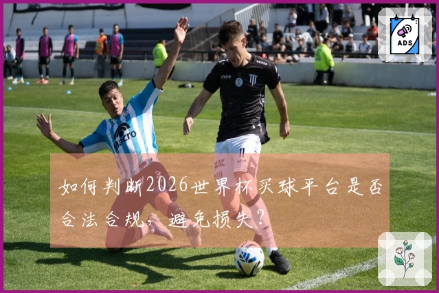 如何判断2026世界杯买球平台是否合法合规，避免损失？