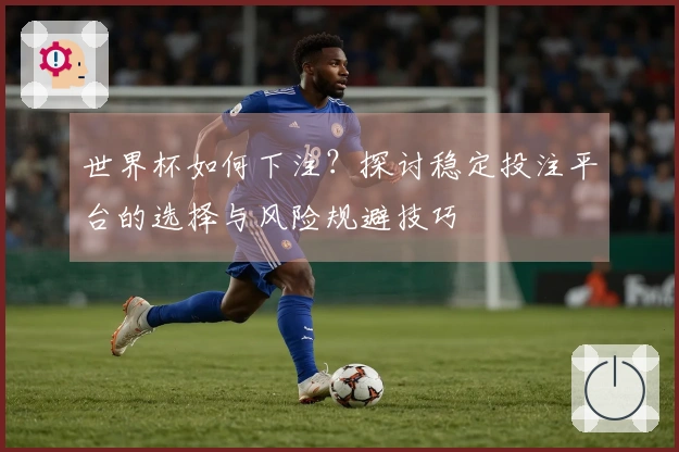 世界杯如何下注？探讨稳定投注平台的选择与风险规避技巧
