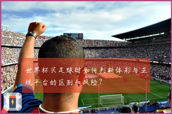 世界杯买足球时如何判断体彩与正规平台的区别和风险?