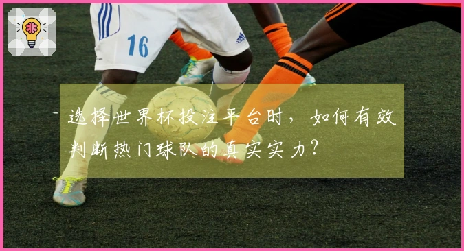 选择世界杯投注平台时，如何有效判断热门球队的真实实力？