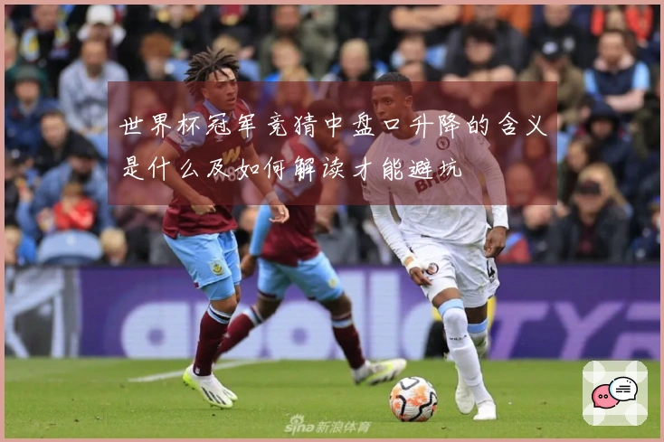 世界杯冠军竞猜中盘口升降的含义是什么及如何解读才能避坑
