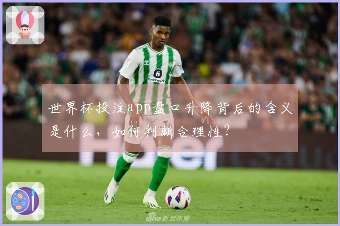 世界杯投注app盘口升降背后的含义是什么，如何判断合理性？