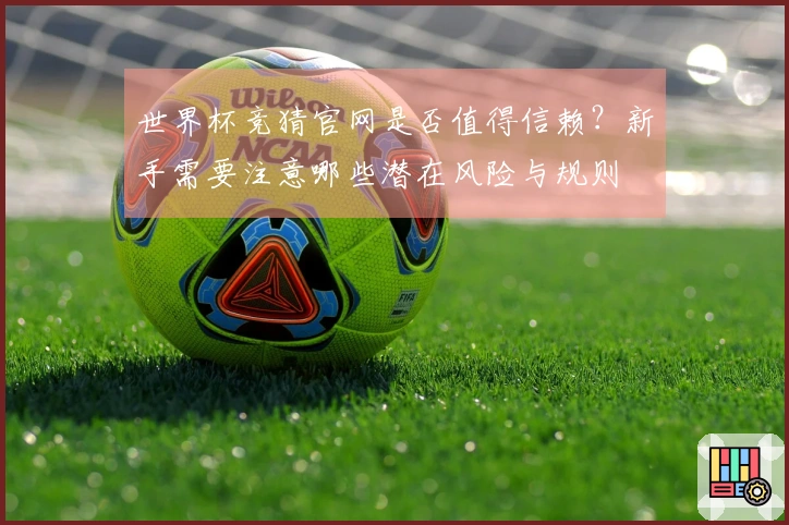 世界杯竞猜官网是否值得信赖？新手需要注意哪些潜在风险与规则