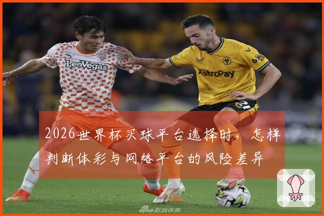 2026世界杯买球平台选择时，怎样判断体彩与网络平台的风险差异