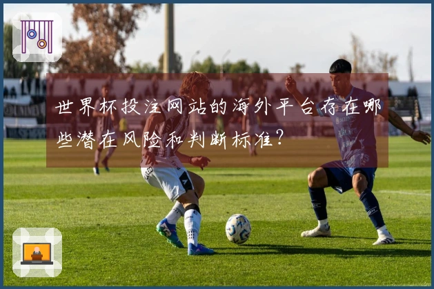 世界杯投注网站的海外平台存在哪些潜在风险和判断标准？
