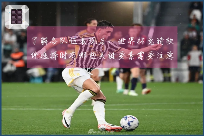 了解各队伍表现后，世界杯竞猜软件选择时有哪些关键要素需要注意？