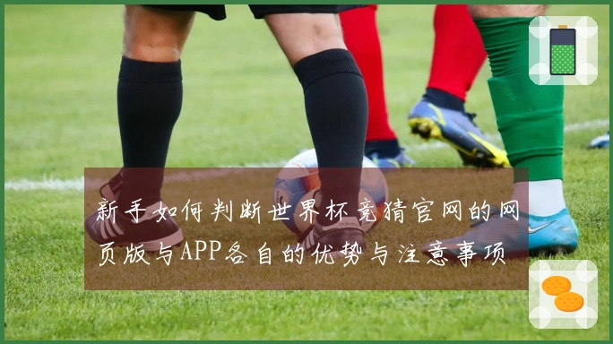 新手如何判断世界杯竞猜官网的网页版与APP各自的优势与注意事项