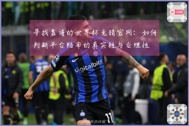 寻找靠谱的世界杯竞猜官网：如何判断平台赔率的真实性与合理性