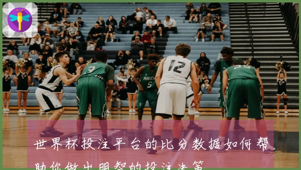 世界杯投注平台的比分数据如何帮助你做出明智的投注决策