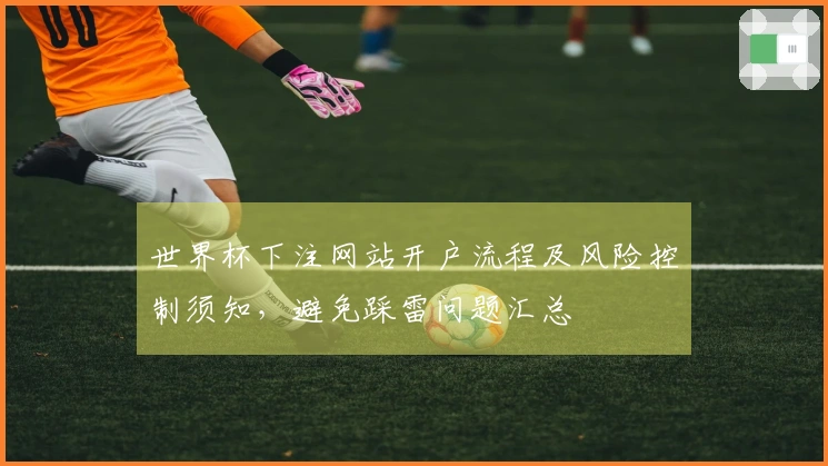 世界杯下注网站开户流程及风险控制须知，避免踩雷问题汇总