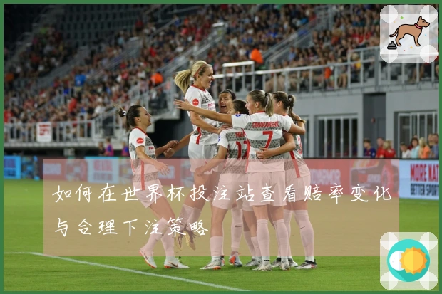 如何在世界杯投注站查看赔率变化与合理下注策略