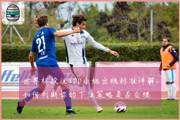 世界杯投注app小组出线标准详解，如何判断你的下注策略是否合理