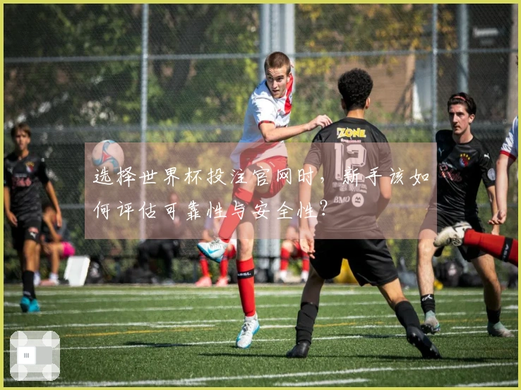 选择世界杯投注官网时，新手该如何评估可靠性与安全性？