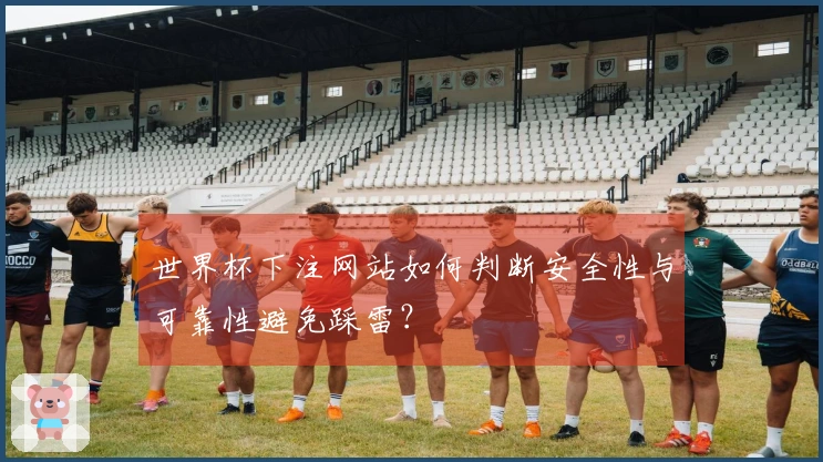 世界杯下注网站如何判断安全性与可靠性避免踩雷？