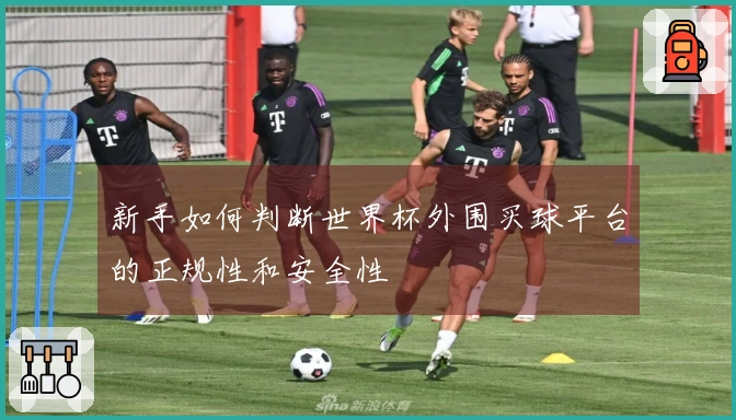 新手如何判断世界杯外围买球平台的正规性和安全性