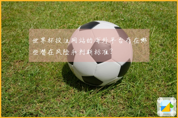 世界杯投注网站的海外平台存在哪些潜在风险和判断标准？