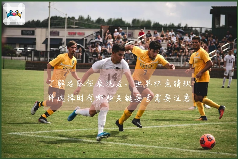 了解各队伍表现后,世界杯竞猜软件选择时有哪些关键要素需要注意?