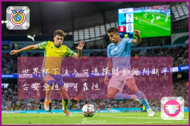 世界杯下注入口选择时如何判断平台安全性与可靠性