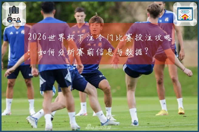 2026世界杯下注冷门比赛投注攻略：如何分析赛前信息与数据？