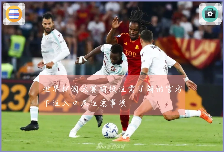 世界杯淘汰赛前投注需了解的官方下注入口及注意事项