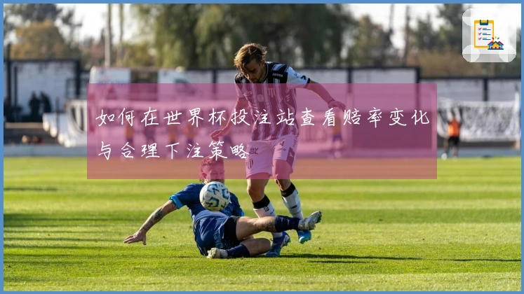 如何在世界杯投注站查看赔率变化与合理下注策略