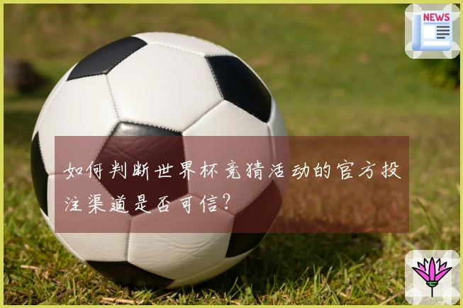 如何判断世界杯竞猜活动的官方投注渠道是否可信？